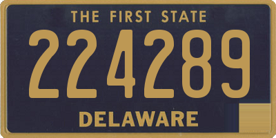 DE license plate 224289
