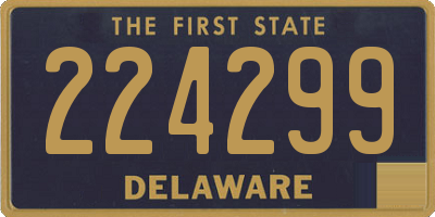 DE license plate 224299