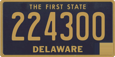 DE license plate 224300