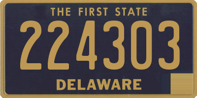 DE license plate 224303