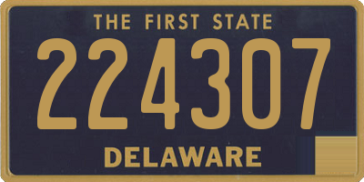 DE license plate 224307