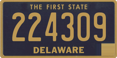 DE license plate 224309