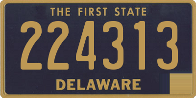DE license plate 224313