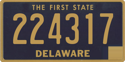 DE license plate 224317
