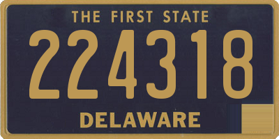 DE license plate 224318