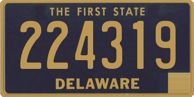 DE license plate 224319