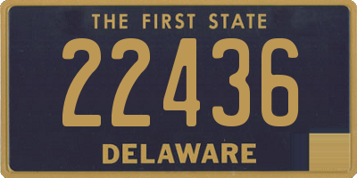 DE license plate 22436