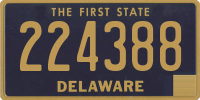 DE license plate 224388