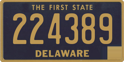 DE license plate 224389