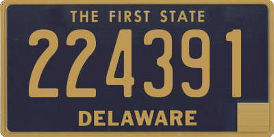 DE license plate 224391