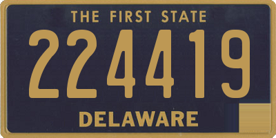 DE license plate 224419