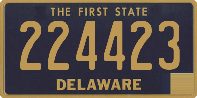 DE license plate 224423