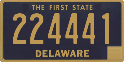 DE license plate 224441
