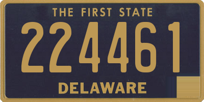 DE license plate 224461