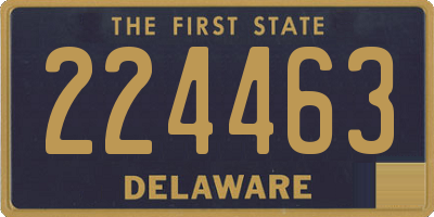DE license plate 224463