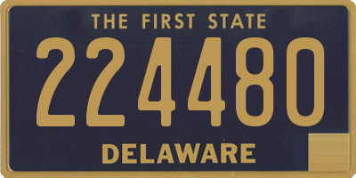 DE license plate 224480