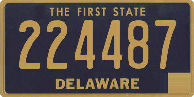 DE license plate 224487