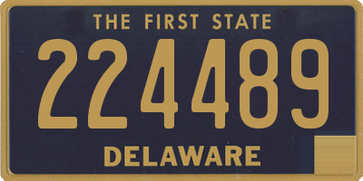 DE license plate 224489