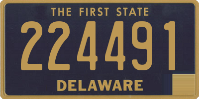 DE license plate 224491