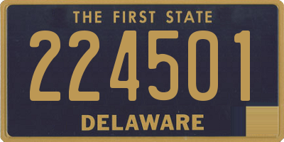 DE license plate 224501