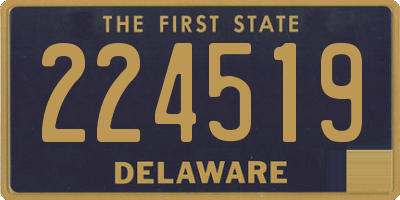 DE license plate 224519