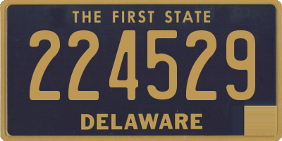 DE license plate 224529