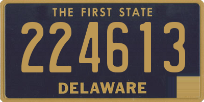 DE license plate 224613