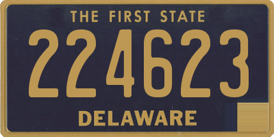 DE license plate 224623