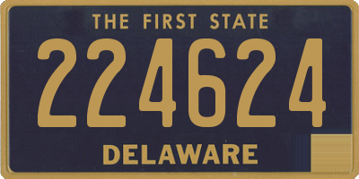 DE license plate 224624