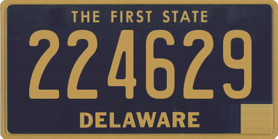 DE license plate 224629