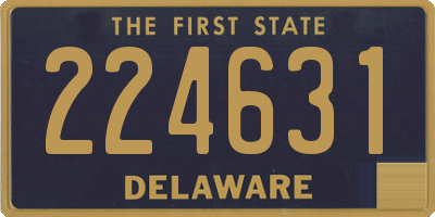 DE license plate 224631