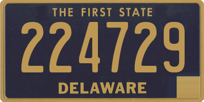 DE license plate 224729