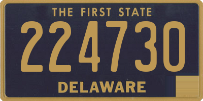 DE license plate 224730