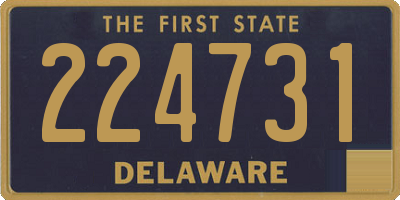 DE license plate 224731
