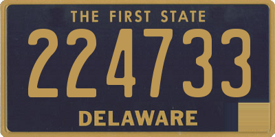 DE license plate 224733