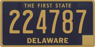 DE license plate 224787
