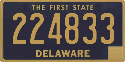 DE license plate 224833