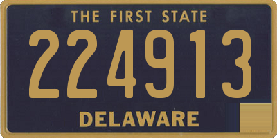DE license plate 224913
