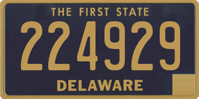 DE license plate 224929