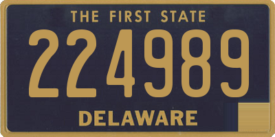 DE license plate 224989