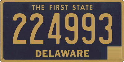 DE license plate 224993