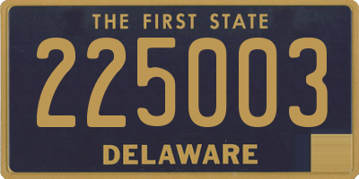 DE license plate 225003