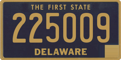 DE license plate 225009