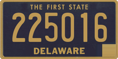 DE license plate 225016