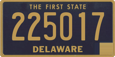 DE license plate 225017