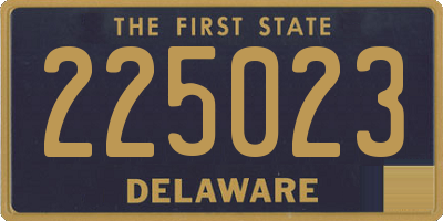 DE license plate 225023