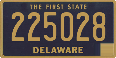 DE license plate 225028