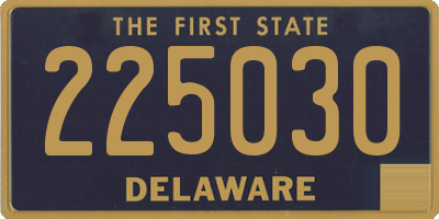 DE license plate 225030