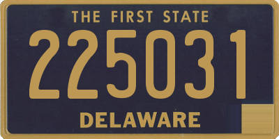 DE license plate 225031