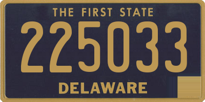 DE license plate 225033